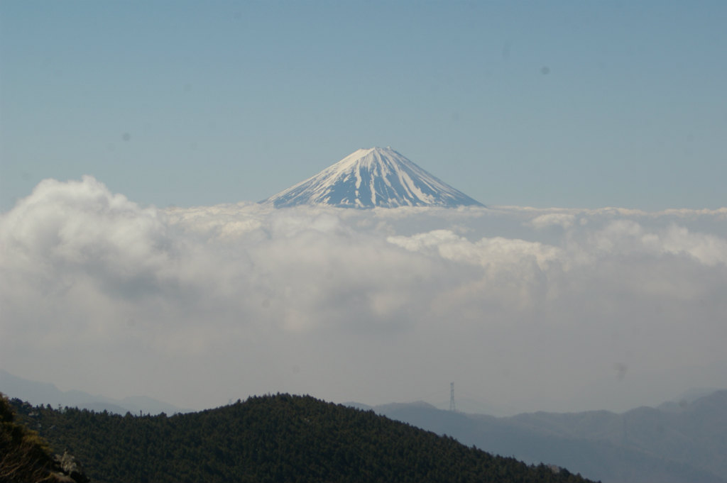 2015-0425-26mizugaki-kinpu (62)