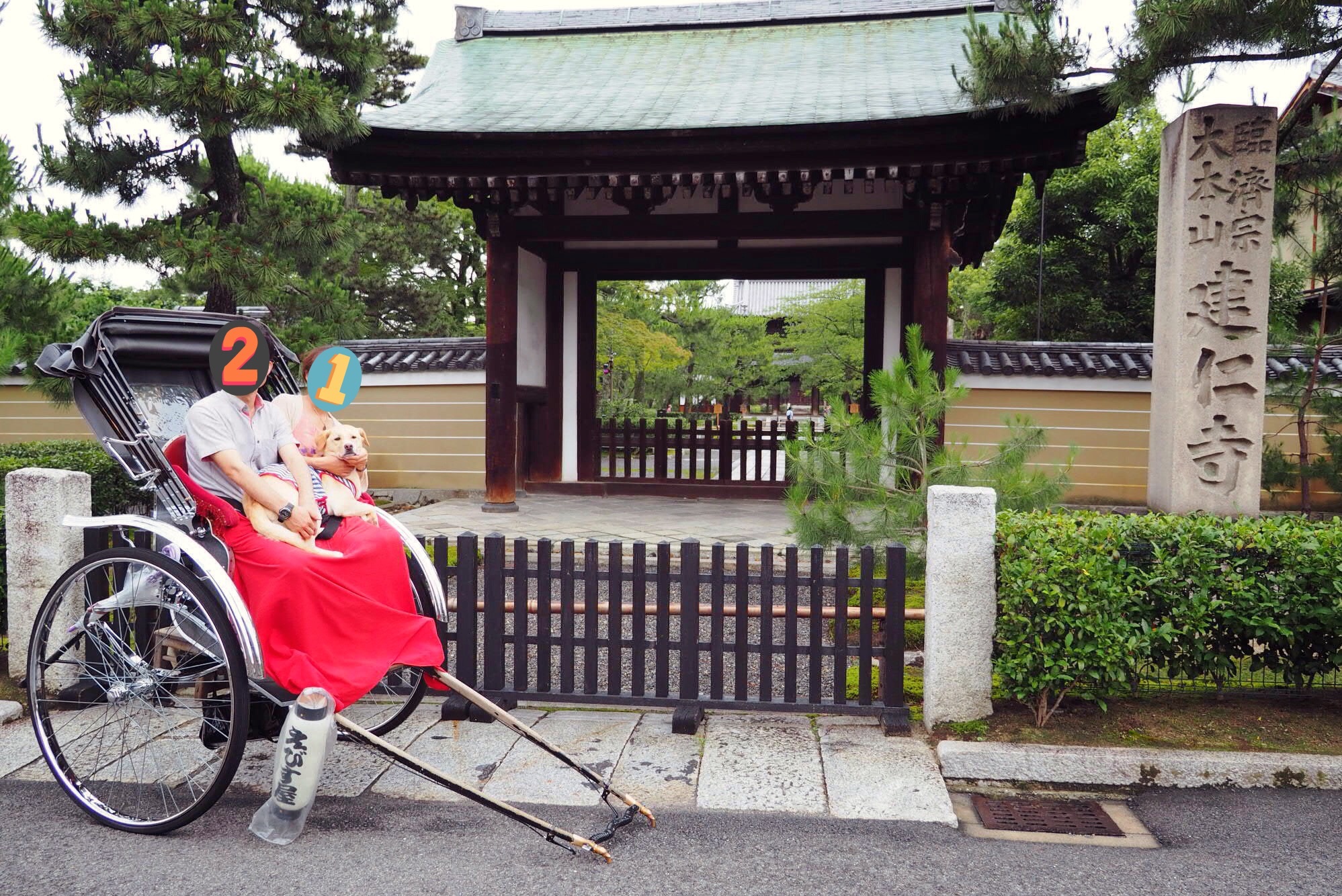 京都旅行 犬 人力車