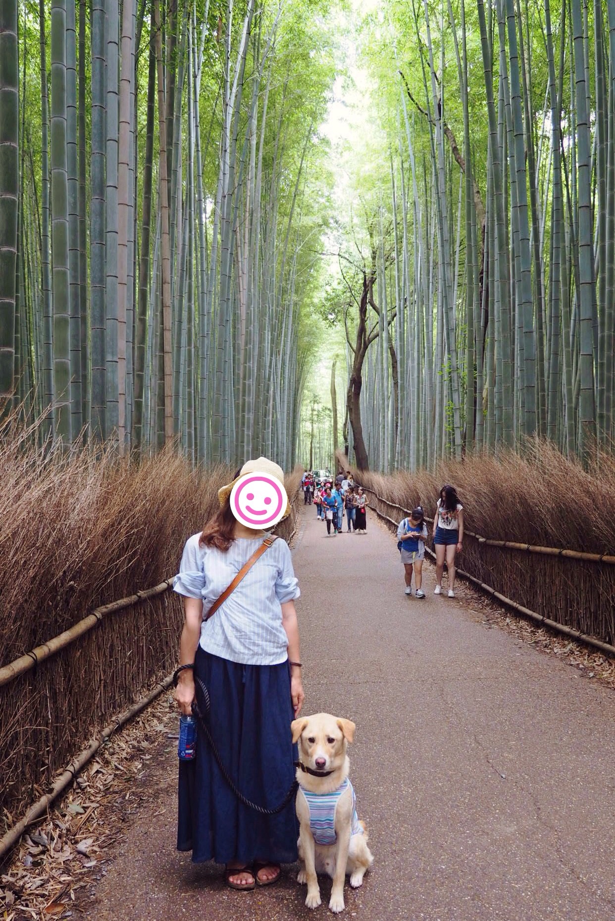 竹林の小径 大型犬 わんこ 京都