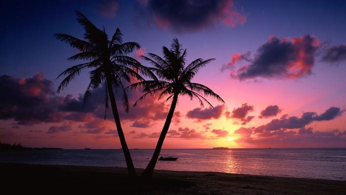 229417__landscapes-beach-coast-landscape-palm-trees-afternoon-sunset-sea-clouds_p.jpg