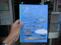 滋賀のお魚ヨシノート　新発売！　スミ利