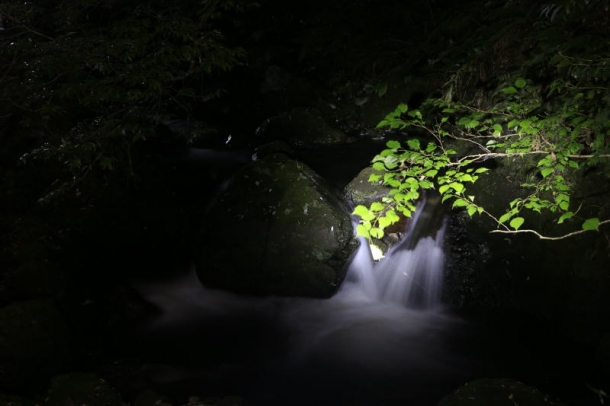 神庭の滝　ライトアップ